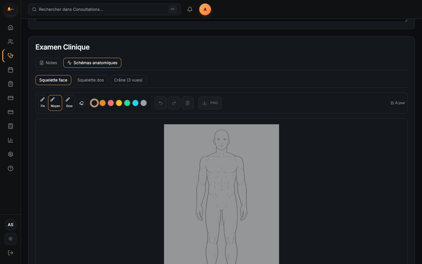 Schémas anatomiques Palpa — squelette face avec outils dessin